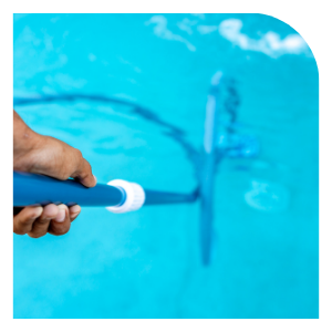 cleaning the pool